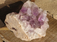 Natural Jacaranda Amethyst Cluster  x 1 From Zambia - Toprock Gemstones and Minerals 