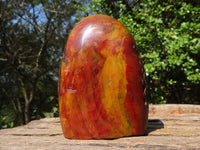 Polished Gorgeous Red Flame Jasper Standing Free Forms  x 2 From Madagascar - Toprock Gemstones and Minerals 