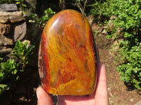 Polished Gorgeous Red Flame Jasper Standing Free Forms  x 2 From Madagascar - Toprock Gemstones and Minerals 