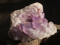 Natural Jacaranda Amethyst Cluster  x 1 From Zambia - Toprock Gemstones and Minerals 