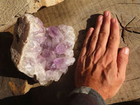 Natural Jacaranda Amethyst Cluster  x 1 From Zambia - Toprock Gemstones and Minerals 