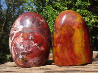 Polished Gorgeous Red Flame Jasper Standing Free Forms  x 2 From Madagascar - Toprock Gemstones and Minerals 