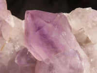 Natural Jacaranda Amethyst Cluster  x 1 From Zambia - Toprock Gemstones and Minerals 