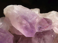 Natural Jacaranda Amethyst Cluster  x 1 From Zambia - Toprock Gemstones and Minerals 