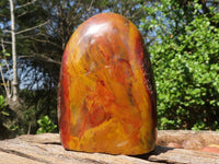 Polished Gorgeous Red Flame Jasper Standing Free Forms  x 2 From Madagascar - Toprock Gemstones and Minerals 