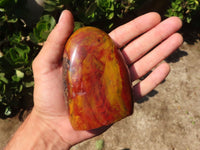 Polished Gorgeous Red Flame Jasper Standing Free Forms  x 2 From Madagascar - Toprock Gemstones and Minerals 