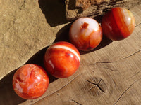 Polished Carnelian Agate Spheres  x 4 From Madagascar