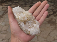 Natural Selection Of Cactus Quartz Clusters  x 4 From Boekenhouthoek, South Africa - TopRock