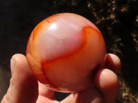 Polished Carnelian Agate Spheres  x 4 From Madagascar