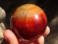 Polished Carnelian Agate Spheres  x 4 From Madagascar