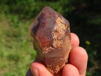 Natural Hematoid Quartz Crystals & Clusters x 6 From Karoi, Zimbabwe - TopRock