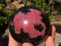 Polished  Pink & Black Rhodonite Spheres x 2 From Madagascar