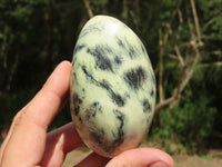 Polished Leopard Stone Gallets/Free Forms x 6 From Zimbabwe - TopRock