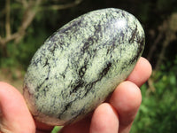 Polished Leopard Stone Gallets/Free Forms x 6 From Zimbabwe - TopRock