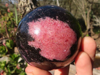 Polished  Pink & Black Rhodonite Spheres x 2 From Madagascar