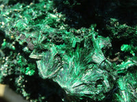 Natural Chatoyant Silky Malachite Specimen  x 1 From Congo - Toprock Gemstones and Minerals 