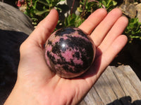 Polished  Pink & Black Rhodonite Spheres x 2 From Madagascar