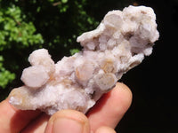 Natural Small Mixed Spirit Quartz Clusters  x 24 From Boekenhouthoek, South Africa - Toprock Gemstones and Minerals 