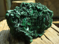 Natural Chatoyant Silky Malachite Specimen  x 1 From Congo - Toprock Gemstones and Minerals 