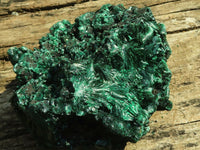 Natural Chatoyant Silky Malachite Specimen  x 1 From Congo - Toprock Gemstones and Minerals 