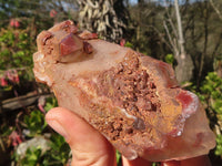 Natural Red Hematoid Phantom Quartz Specimens x 6 From Karoi, Zimbabwe