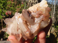 Natural Red Hematoid Phantom Quartz Specimens x 6 From Karoi, Zimbabwe