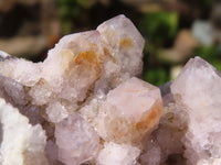 Natural Small Mixed Spirit Quartz Clusters  x 24 From Boekenhouthoek, South Africa - Toprock Gemstones and Minerals 