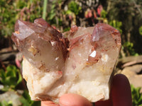 Natural Red Hematoid Phantom Quartz Specimens x 6 From Karoi, Zimbabwe