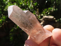 Natural Clear Red Hematoid Quartz Crystals  x 19 From Zimbabwe - TopRock