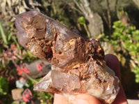 Natural Red Hematoid Phantom Quartz Specimens x 6 From Karoi, Zimbabwe