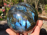 Polished  Flashy Labradorite Sphere With Rosewood Stand  x 2 From Tulear, Madagascar