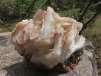 Natural Rare Bladed Barite Specimens  x 2 From Congo - TopRock