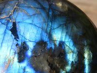 Polished  Flashy Labradorite Sphere With Rosewood Stand  x 2 From Tulear, Madagascar