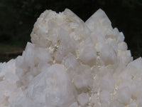 Natural Extra Large Window & White Phantom Cascading Quartz Cluster x 1 From Ivato, Madagascar - TopRock