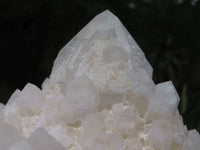 Natural Extra Large Window & White Phantom Cascading Quartz Cluster x 1 From Ivato, Madagascar - TopRock