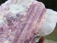 Natural Pink Tourmaline Crystals In Mica & Quartz Schist x 4 From Karibib, Namibia - TopRock