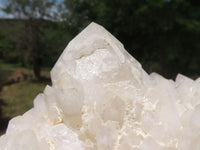 Natural Extra Large Window & White Phantom Cascading Quartz Cluster x 1 From Ivato, Madagascar - TopRock