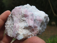 Natural Pink Tourmaline Crystals In Mica & Quartz Schist x 4 From Karibib, Namibia - TopRock