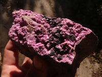 Natural Pink Salrose Cobaltion Dolomite Specimens  x 4 From Kakanda, Congo