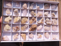 Natural Small Mixed Spirit Quartz Clusters  x 35 From Boekenhouthoek, South Africa - Toprock Gemstones and Minerals 