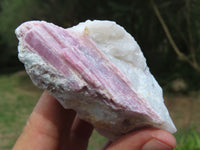 Natural Pink Tourmaline Crystals In Mica & Quartz Schist x 4 From Karibib, Namibia - TopRock