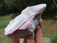 Natural Pink Tourmaline Crystals In Mica & Quartz Schist x 4 From Karibib, Namibia - TopRock