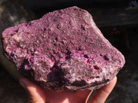 Natural Extra Large Pink Salrose Specimen  x 1 From Kakanda, Congo - Toprock Gemstones and Minerals 