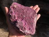 Natural Extra Large Pink Salrose Specimen  x 1 From Kakanda, Congo - Toprock Gemstones and Minerals 