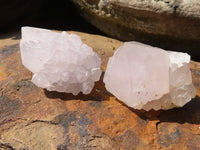 Natural Small Mixed Spirit Quartz Clusters  x 35 From Boekenhouthoek, South Africa - Toprock Gemstones and Minerals 