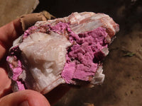 Natural Pink Salrose Cobaltion Dolomite Specimens  x 4 From Kakanda, Congo