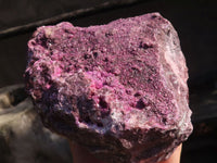 Natural Extra Large Pink Salrose Specimen  x 1 From Kakanda, Congo - Toprock Gemstones and Minerals 