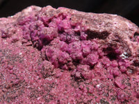 Natural Extra Large Pink Salrose Specimen  x 1 From Kakanda, Congo - Toprock Gemstones and Minerals 