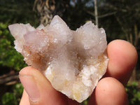 Natural Small Mixed Spirit Quartz Clusters  x 35 From Boekenhouthoek, South Africa - Toprock Gemstones and Minerals 