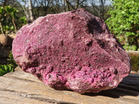 Natural Extra Large Pink Salrose Specimen  x 1 From Kakanda, Congo - Toprock Gemstones and Minerals 